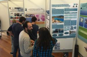 Presentamos el concepto de santuario marino en el Congreso anual de la Sociedad Espaola de Cetceos