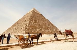 Egipto prohibir los paseos en camellos y caballos en las pirmides