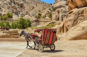 En Petra los coches eléctricos empiezan a remplazar los carros tirados por burros y caballos