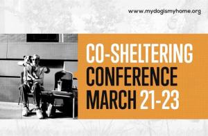 Presentamos el proyecto #MejoresAmigos en la Co-Sheltering Conference 2023 de Nueva York