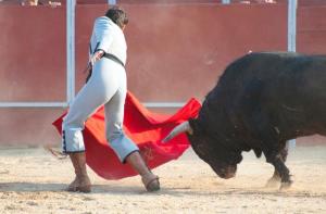 Tarifa pretende volver a celebrar una corrida de toros despus de 7 aos: firma la peticin!