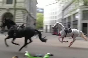 Dos caballos en estado crtico tras asustarse en una ejercitacin militar en el centro de Londres