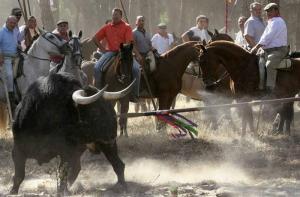 Joan Herrera solicita al gobierno la eliminacin del toro alanceado