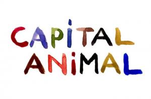 No al maltrato animal en Valncia Capital Animal