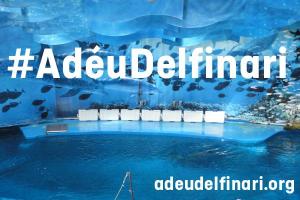 #AduDelfinari, necesitamos la complicidad de los ciudadanos para cerrar el delfinario de Barcelona