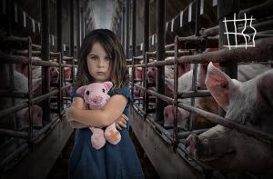 #EndTheCageAge: Iniciativa Ciudadana Europea para acabar con las jaulas de animales de granja en toda Europa