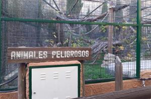 La tigresa del Zoo de Almuecar se ha trasladado hoy al centro de AAP Primadomus