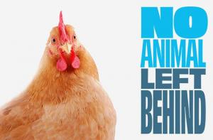 #NoAnimalLeftBehind: el 2021 puede marcar un antes y un despus en la legislacin europea sobre animales considerados de granja