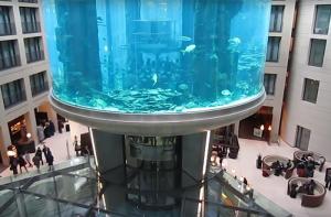 Revienta en un hotel de Berln un enorme acuario cilndrico con 1.500 peces