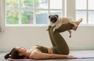 Puppy Yoga: una investigacin desvela el maltrato detrs de la actividad tendencia en Instagram
