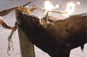 Empieza la ponencia en el Parlament de Catalunya para eliminar las fiestas ms crueles con toros